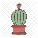 Planta de cactus  Icono