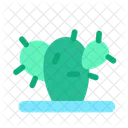 Planta de cactus  Icono