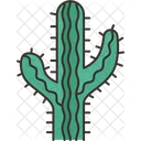 Planta de cactus  Icono