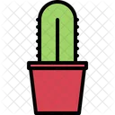 Planta de cactus  Icono