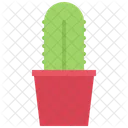 Planta de cactus  Icono