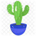 Cactus Planta De Cactus Planta Espinosa Icono