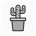 Planta de cactus  Icono