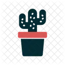 Planta de cactus  Icono