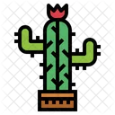 Planta de cactus  Icono