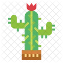 Planta de cactus  Icono