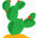 Planta de cactus  Icono