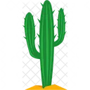 Planta de cactus  Icono