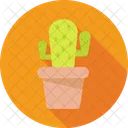 Cactus Planta Desierto Icono