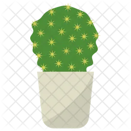 Planta de cactus bola  Icono