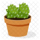 Planta de cactus bola  Icono