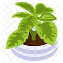 Planta de calatea  Icono