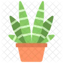 Planta cebra  Icono