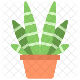 Planta cebra  Icono