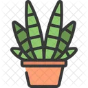 Planta cebra  Icono