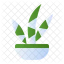 Planta Cebra Icono