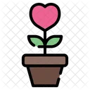 Planta con amor  Icono