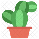 Planta de conejito  Icono