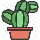 Planta de conejito  Icono