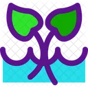Planta De Agua Icono