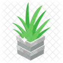 Planta de aloe  Icono