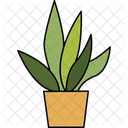 Planta de aloe vera  Icono