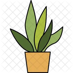 Planta de aloe vera  Icono