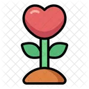 Planta De Amor Corazon Amor Icono