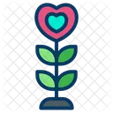 Planta Amor Planta Con Forma De Corazon Icono