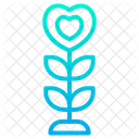 Planta Amor Planta Con Forma De Corazon Icon