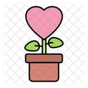 Planta De Amor Amor Corazon Icono