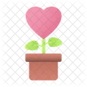 Planta De Amor Amor Corazon Icono