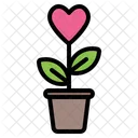 Amor Planta Amor Planta Icono