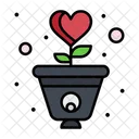 Planta de amor  Icono