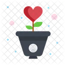 Planta de amor  Icono