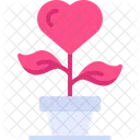 Planta de amor  Icono