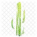 Cactus Icono