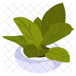Planta de aspidistra  Ícone
