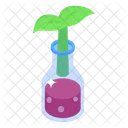 Planta de botella  Icono