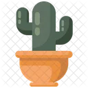 Planta de cacto  Ícone