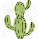 Cactus Verde Planta Icono