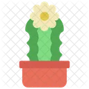 Planta de cactus ondulada  Icono