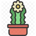 Planta de cactus ondulada  Icono