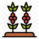 Planta De Cafe Cafe Granos De Cafe Icono