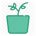 Planta  Icono