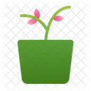 Planta  Icono