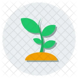 Planta de cultivo de brotes  Icono