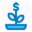 Planta de dinero  Icono