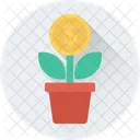 Dinero Planta Crecimiento Icono