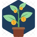 Planta de dinero  Icono